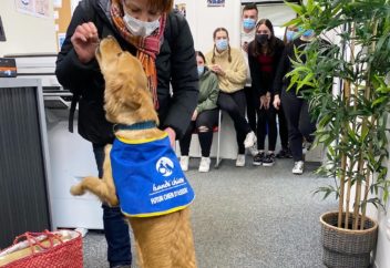 handi chiens visite supveto metz